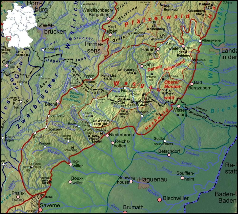 Fewo Pfaelzer Felsenlandschaft بيرمازنز المظهر الخارجي الصورة